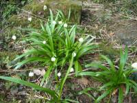 vycházka do Národní přírodní rezervace Ransko