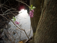 vycházka do Národní přírodní rezervace Ransko