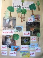 Les ve škole, škola v lese - projekt 1. stupeň