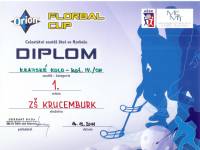 Florbal chlapci kategorie IV. - krajské kolo 14. 12. 2011