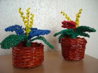 Botanická zahrada 2009