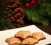 Pozvánka na Vánoční výstavu 2015