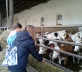 Odborný seminář s exkurzí – Zemědělská a.s. Krucemburk – 7. 11. 2016