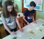 Biologická olympiáda 2017 – školní kolo