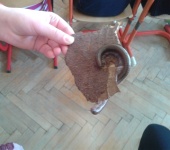 Pohled do světa hmyzu a bezobratlých