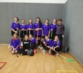 Florbal dívky - okresní kolo 2018