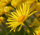 Provoz školy v době letních prázdnin 2020