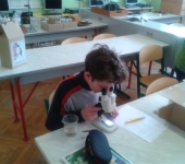 Projekt ZŠ Krucemburk dotovaný firmou Lesy ČR