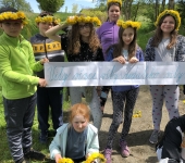 Vily věnce víly…