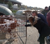 Exkurze Zemědělská a.s. Krucemburk