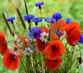 Provoz školy v době letních prázdnin 2023