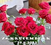 Slavnostní vyřazení žáků 9. třídy - 2022/2023