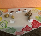 Výstava netradičních plodů podzimu